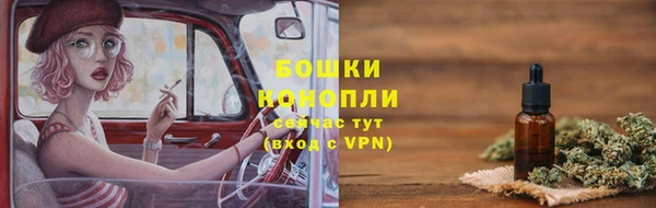 прущие грибы Абаза