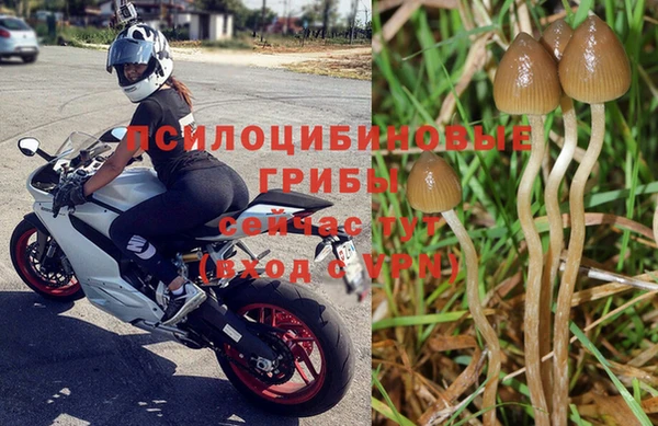 тгк Абинск