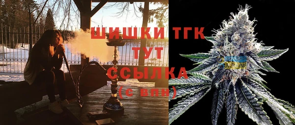 дмт Лабытнанги