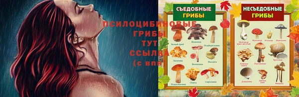 ешки Алзамай